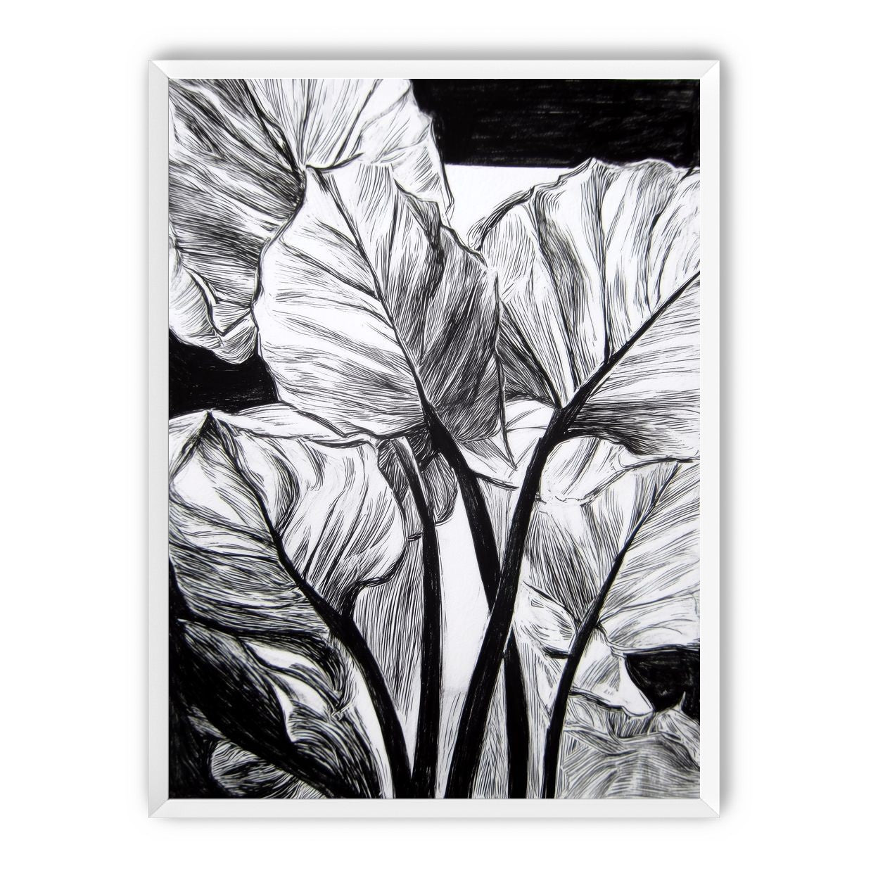 Overlapping Leaves on Dark Ground