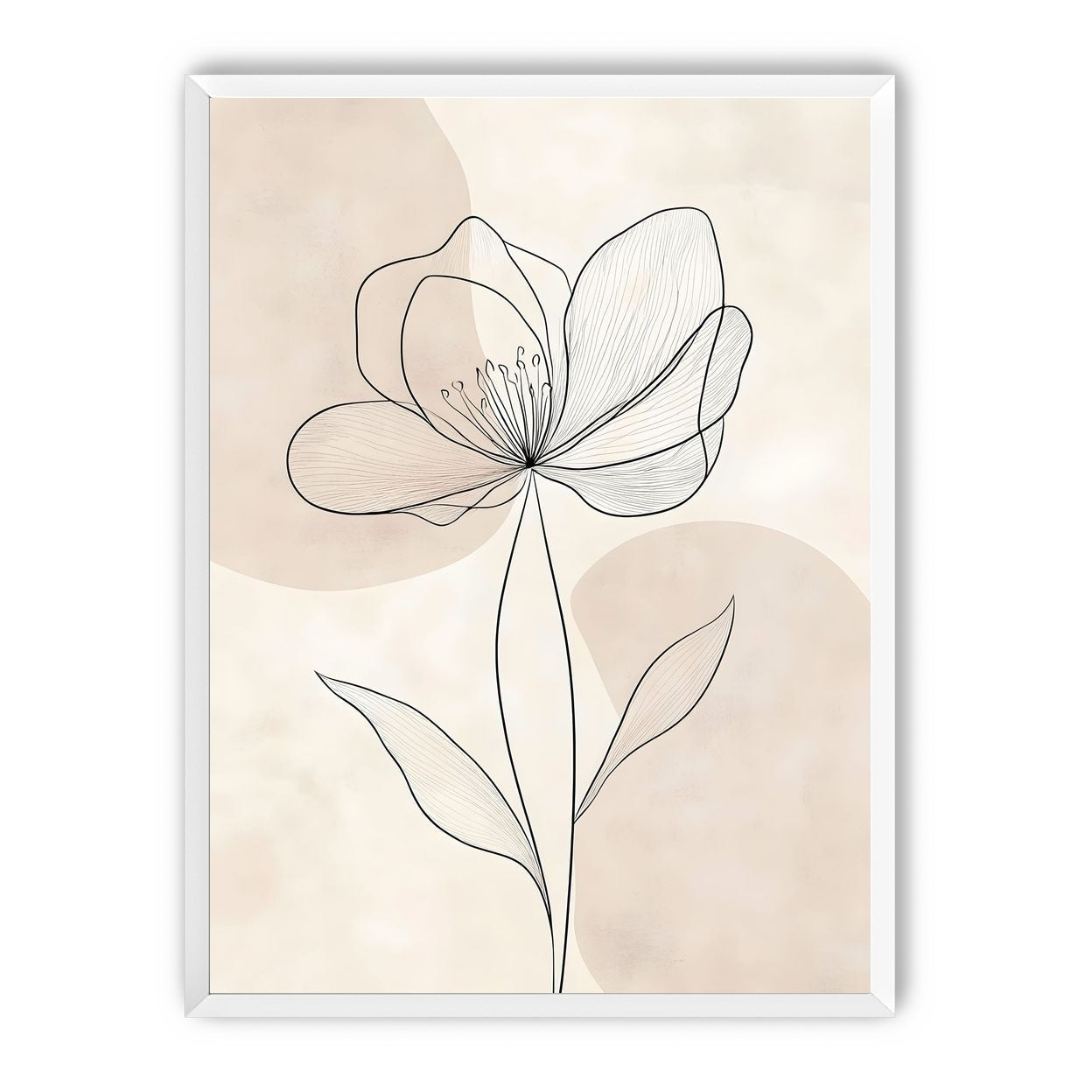 Single Bloom