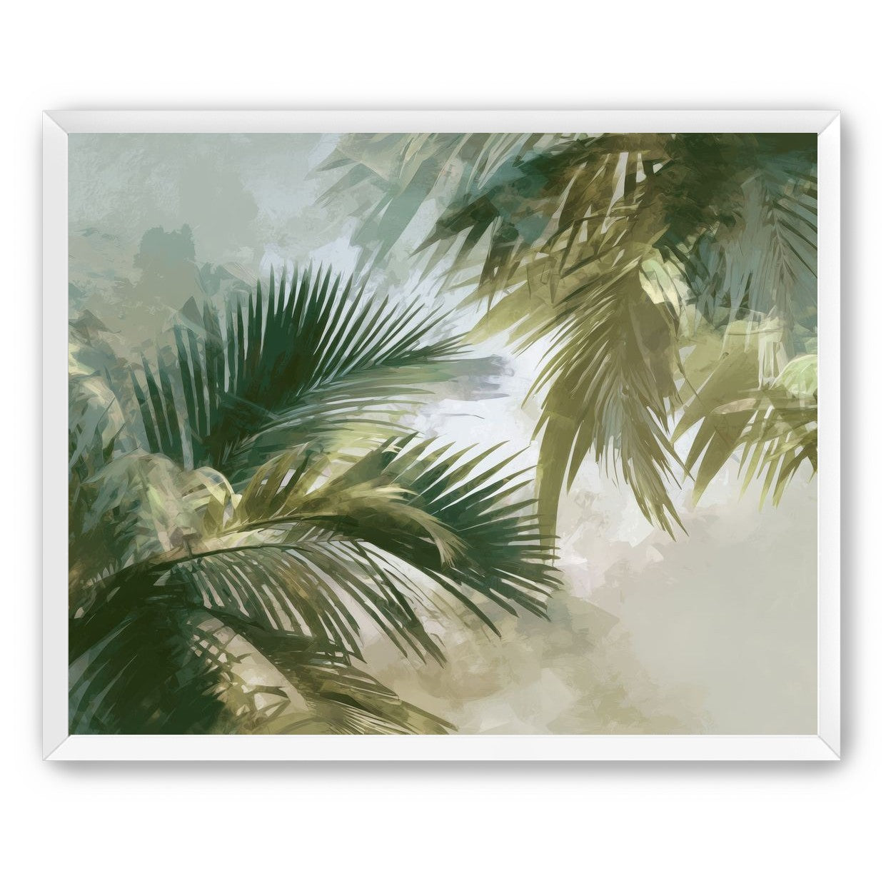 Palm Canopy