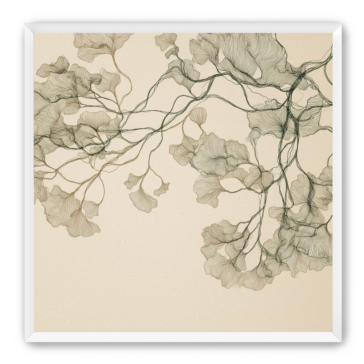 Open Canopies in Ink