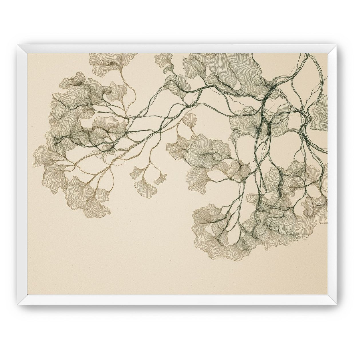 Open Canopies in Ink