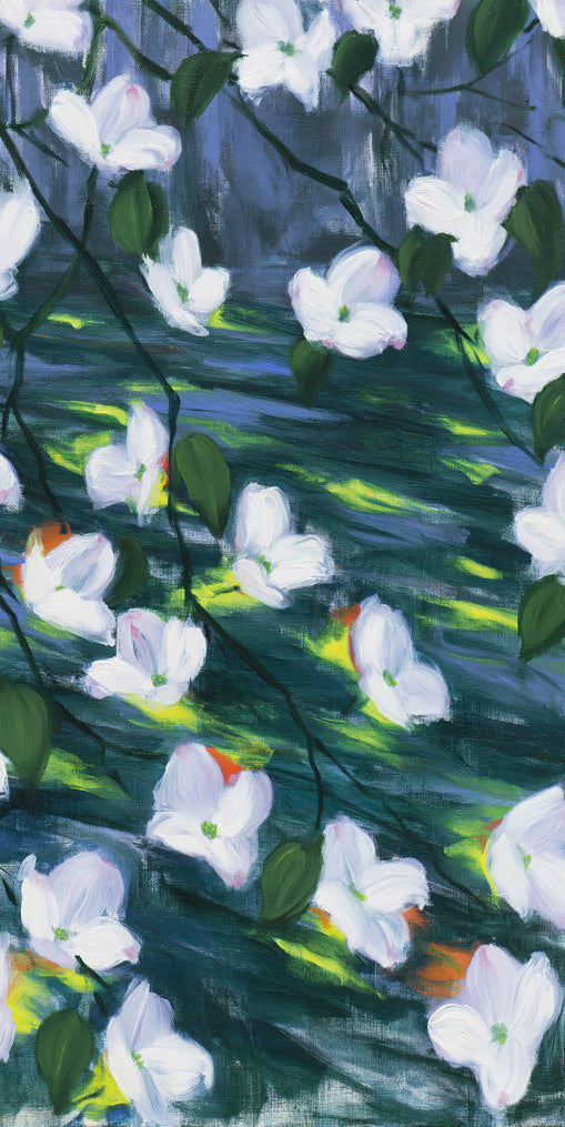 White blossoms on dark water