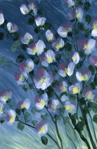 White blossoms on blue field