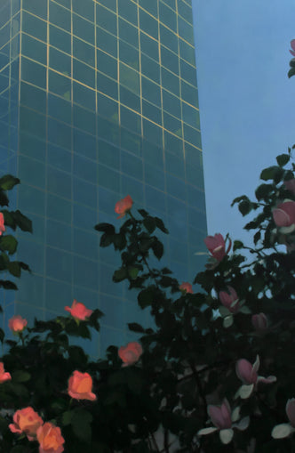 Roses beneath blue towers