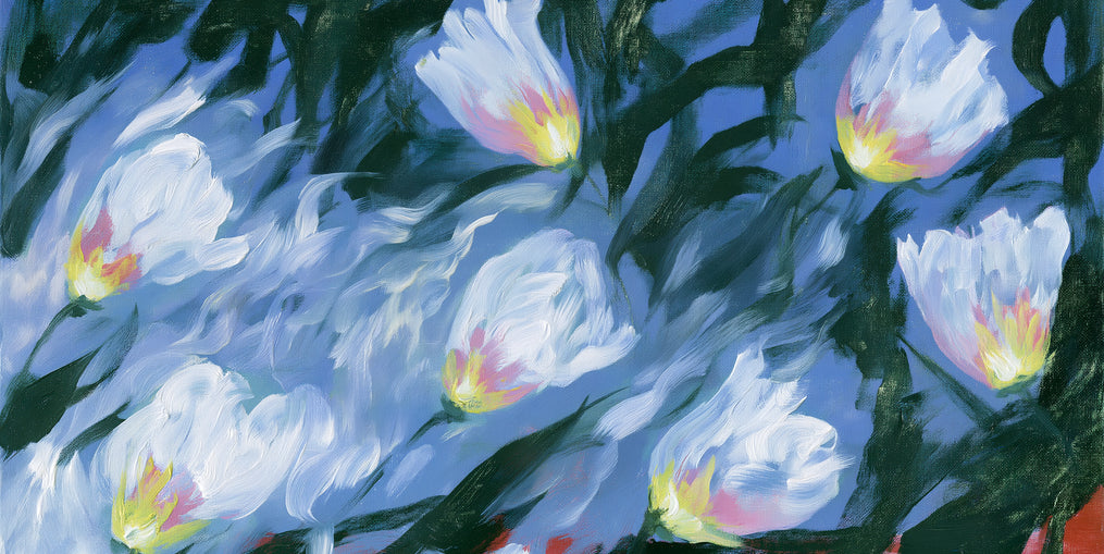 White tulips on blue ground