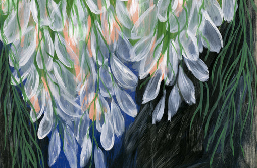 White petals over deep green