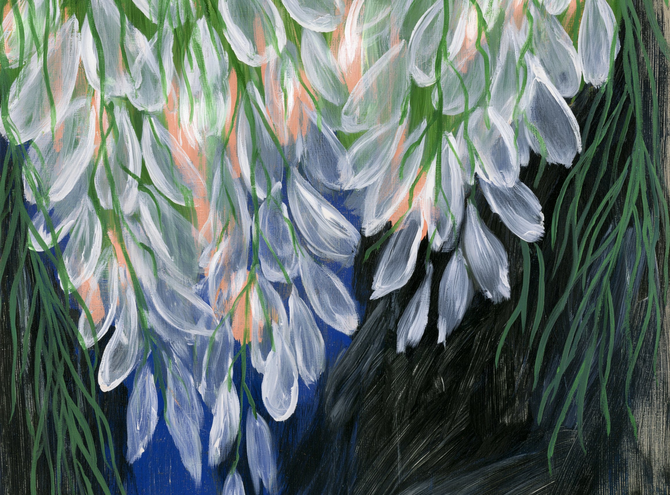 White petals over deep green