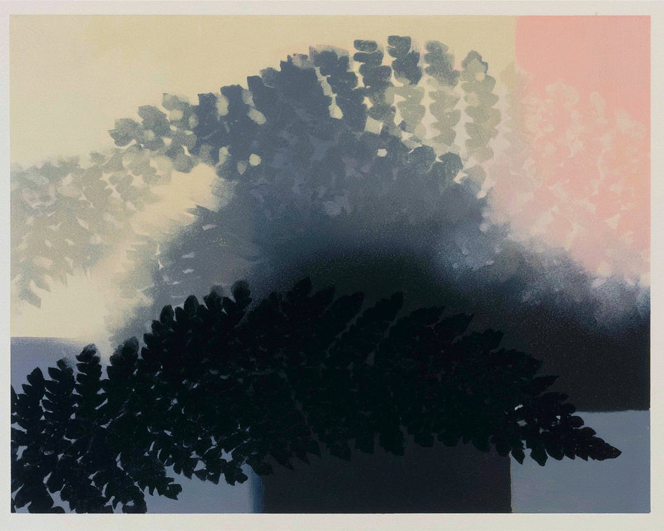 Tree shadow across the sky