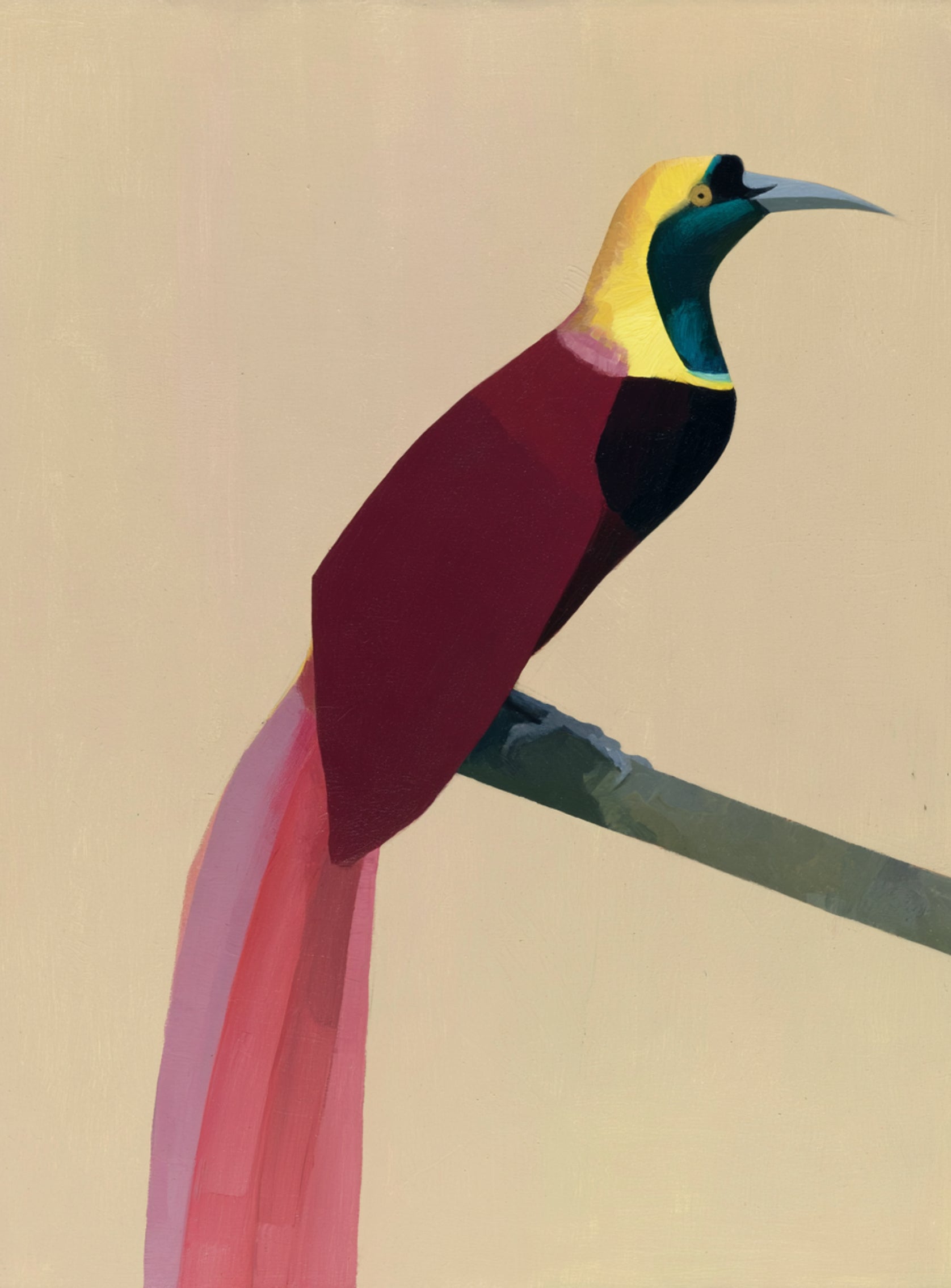 A bright bird on a branch