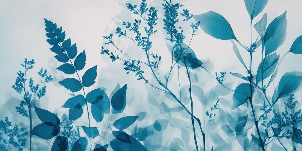 Translucent Layer of Leaves