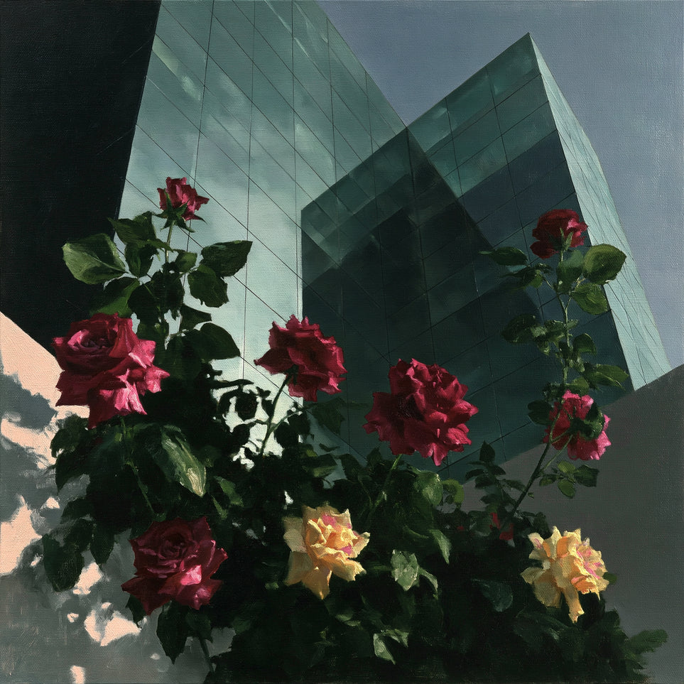 Roses against glass towers