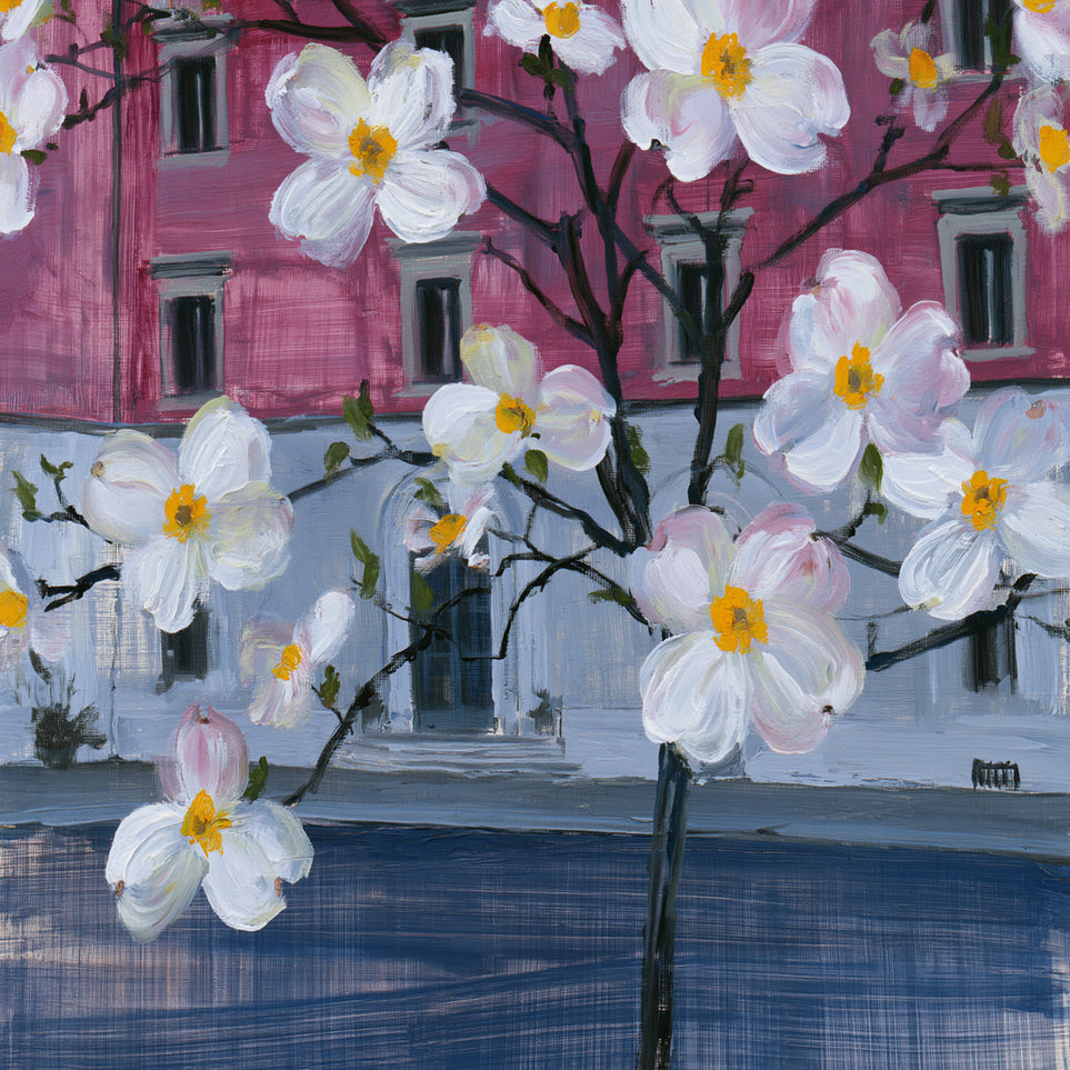White blossoms over the pink house