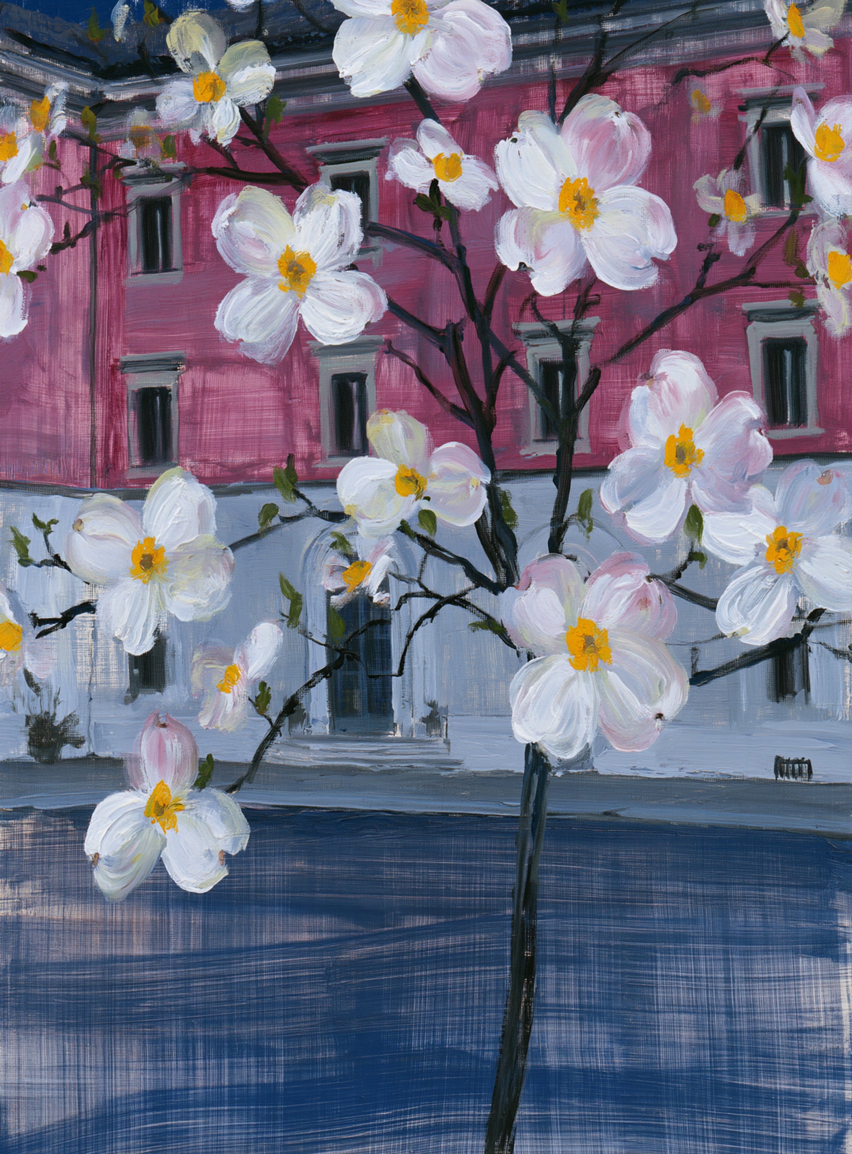 White blossoms over the pink house