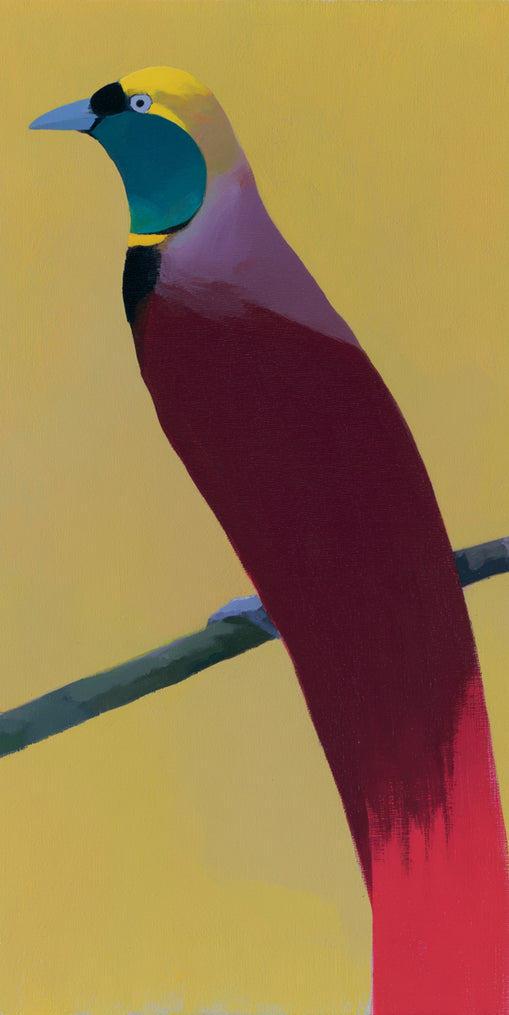 A bright bird on yellow