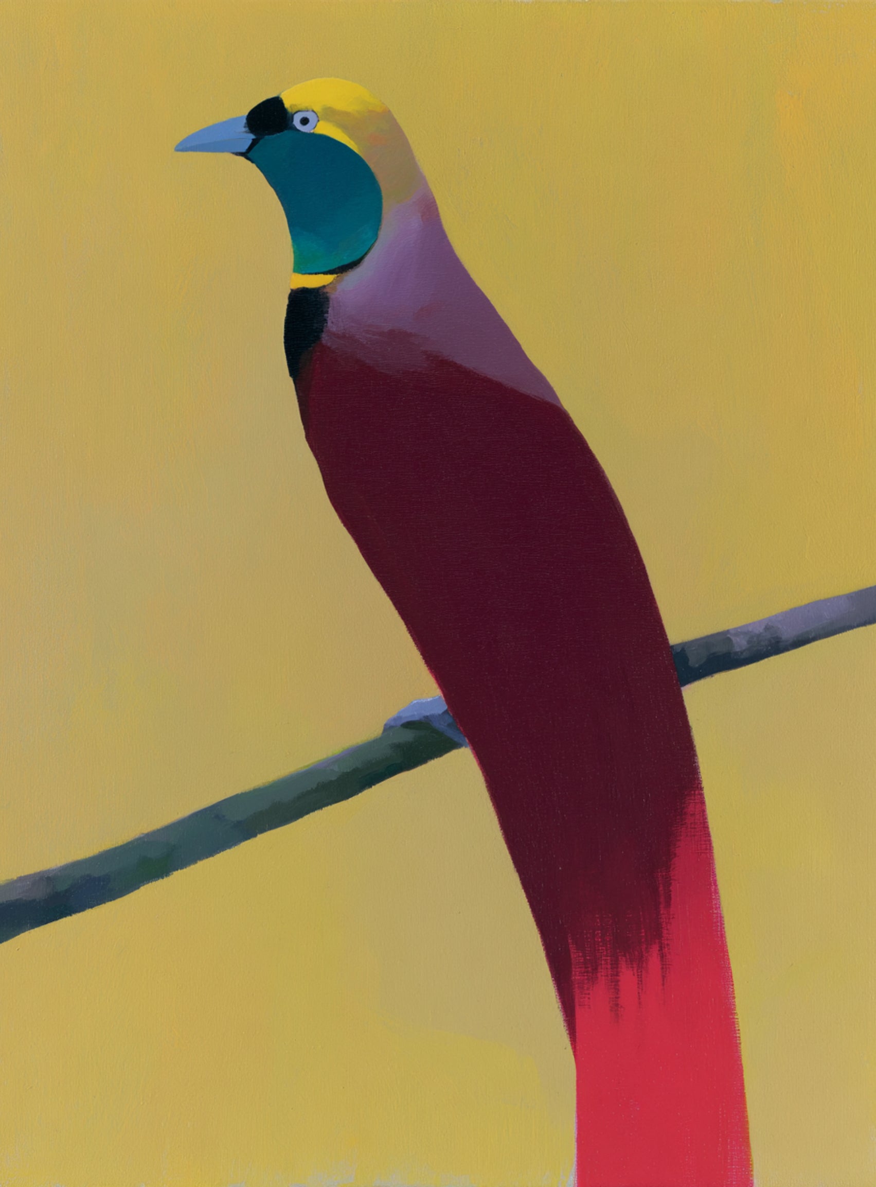 A bright bird on yellow