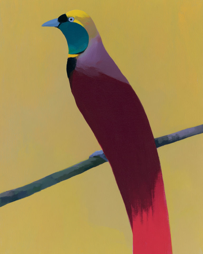 A bright bird on yellow