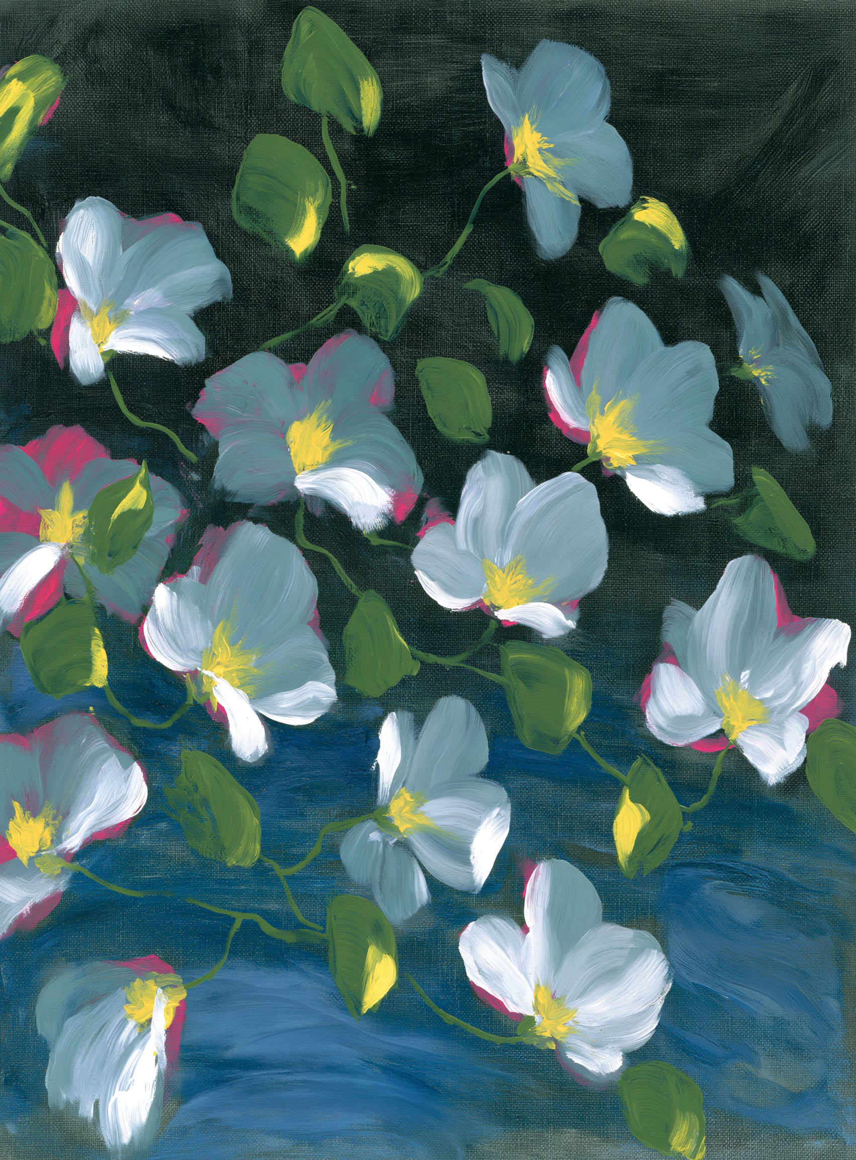 Pale blooms on black