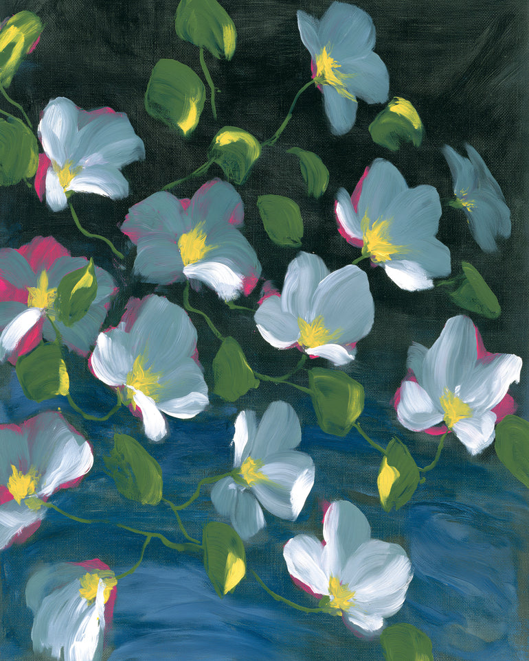 Pale blooms on black