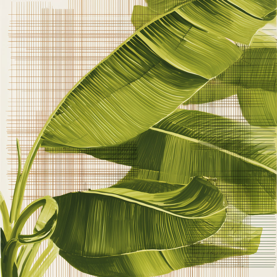 Banana leaves against the grid