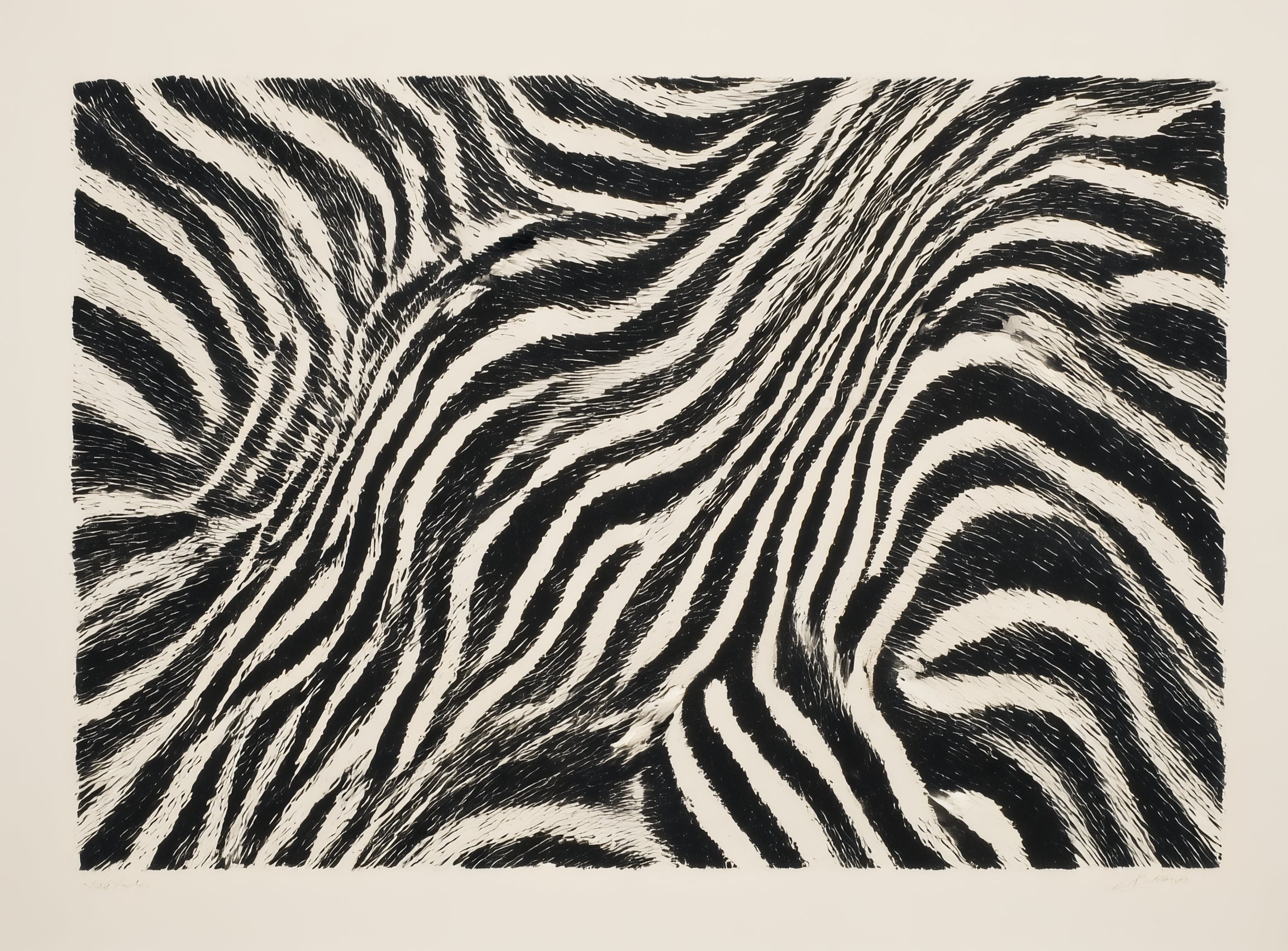 Zebra stripes across the frame