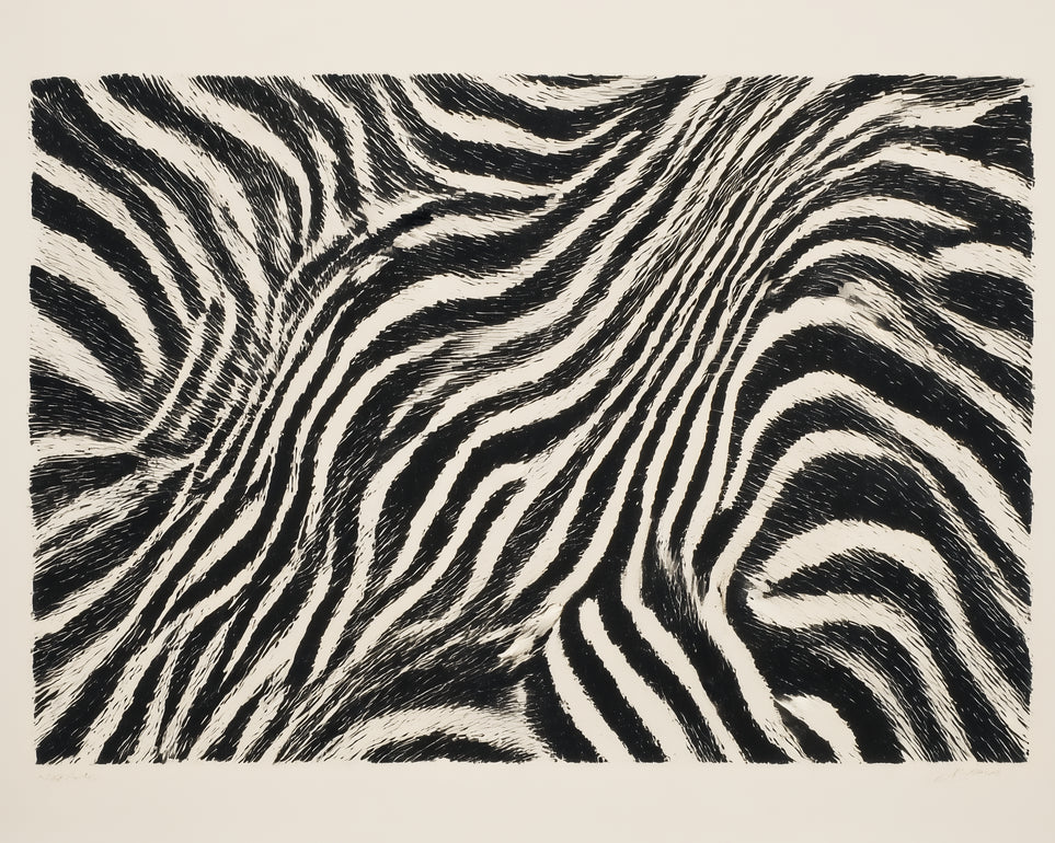 Zebra stripes across the frame