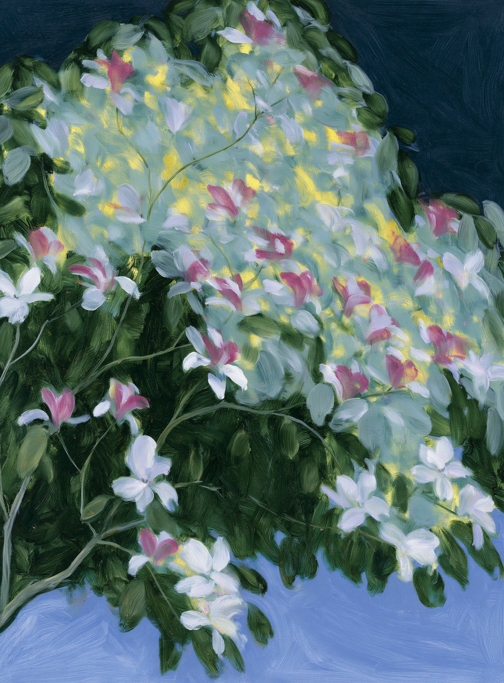Blossoms across the night sky