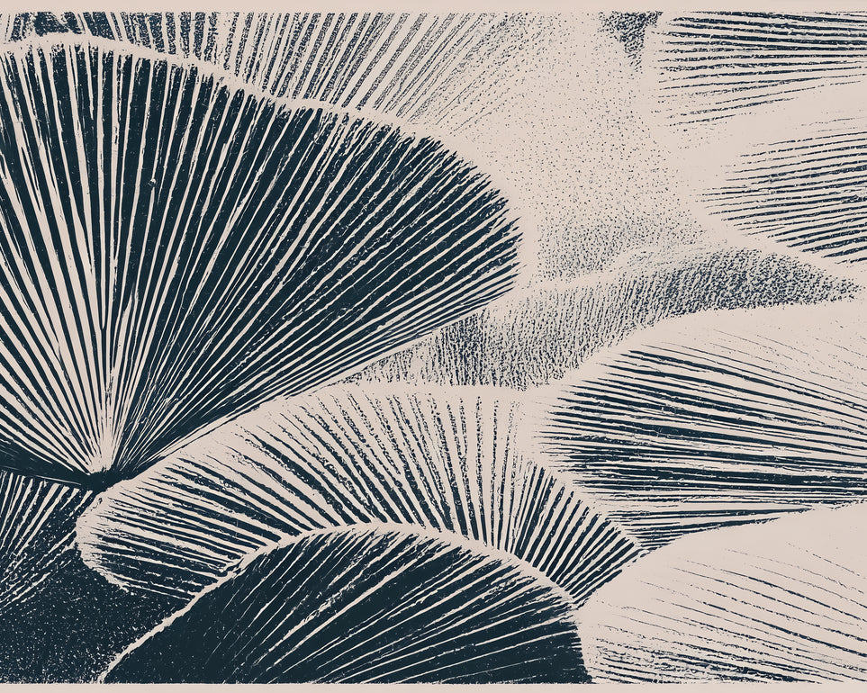 Ink shadows on palm fronds