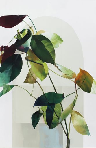 Leaves across a pale arch