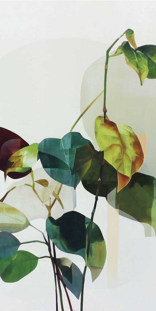 Leaves within pale shadows