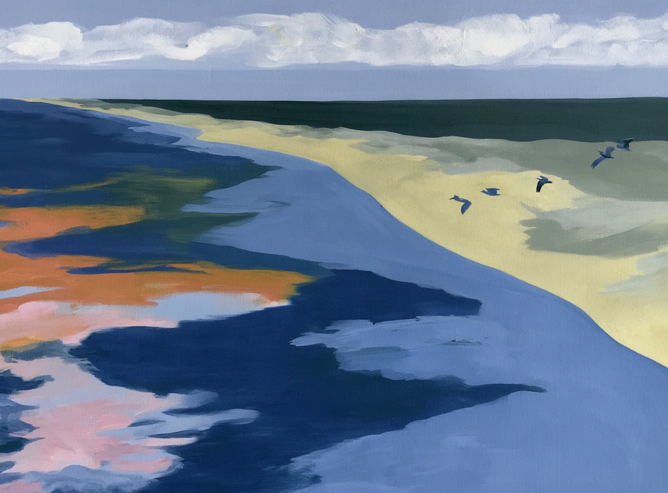 Birds over the pale shore