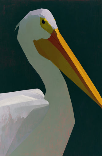 White pelican in deep green