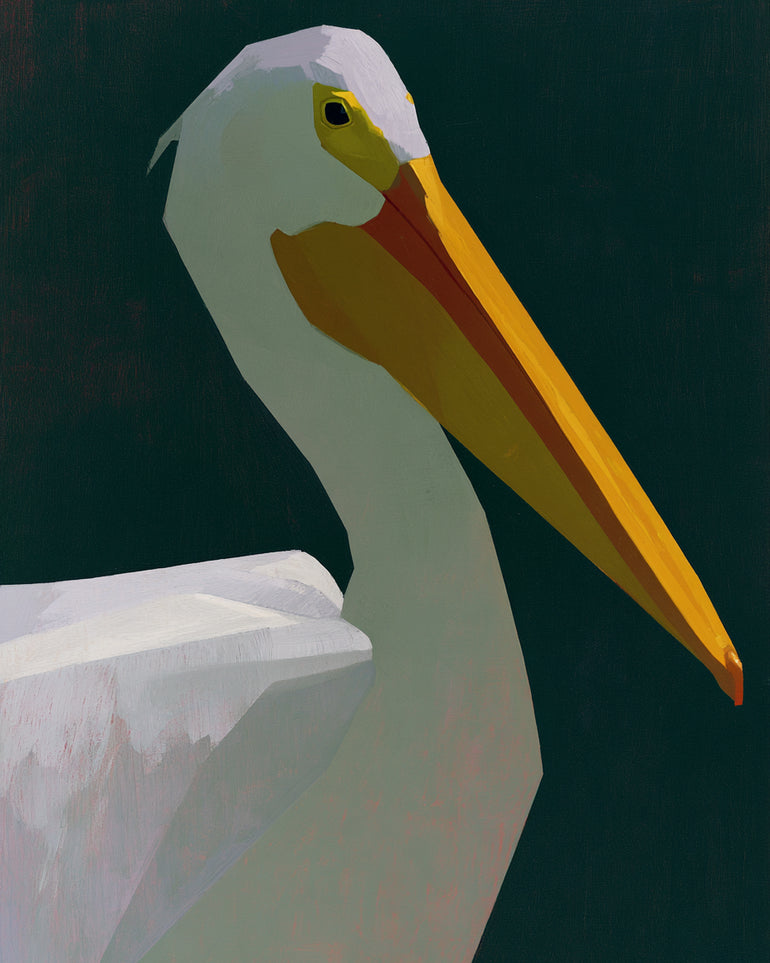 White pelican in deep green