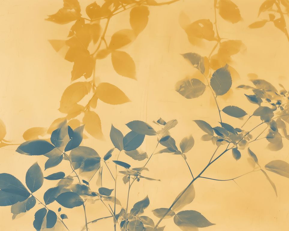 Translucent Film Over Leaves