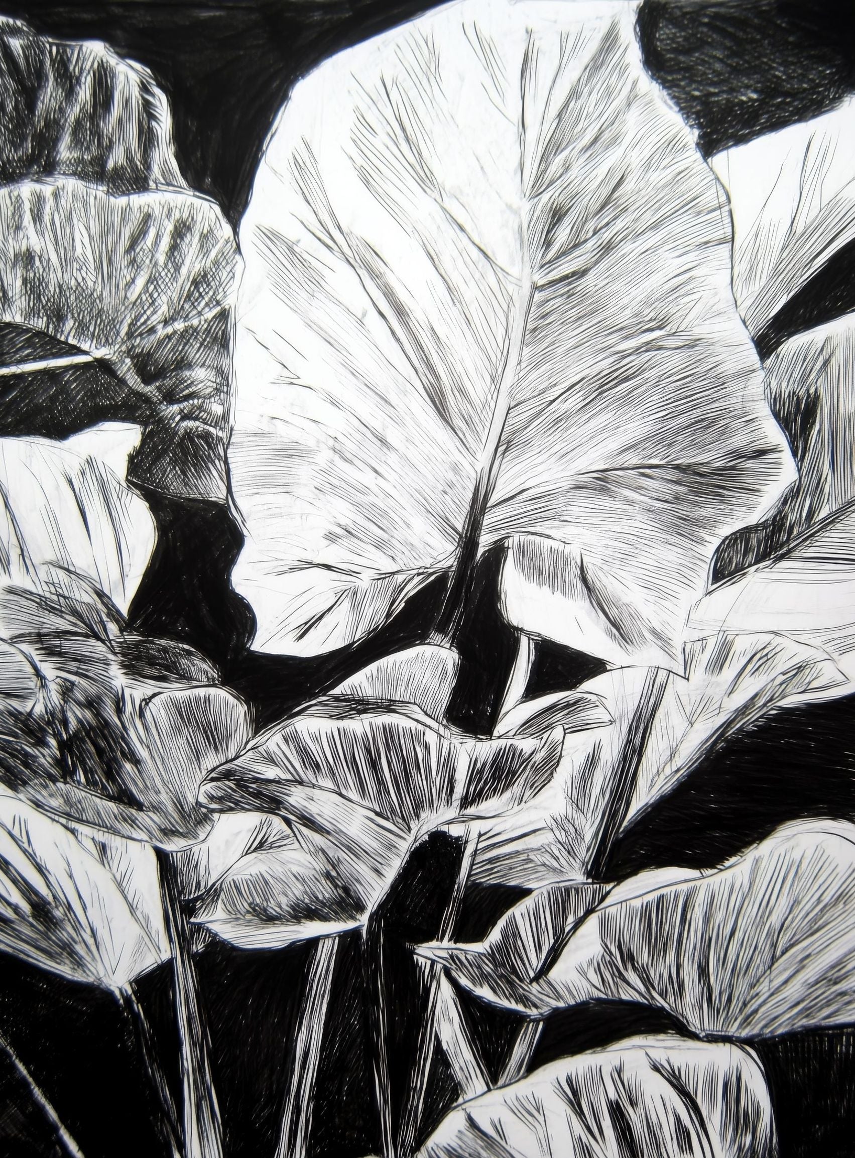 A Cluster of Leaves