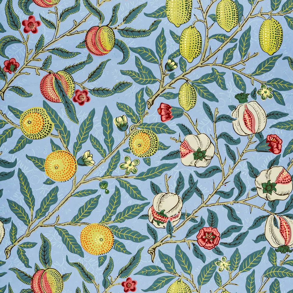 Fruits on the Vine