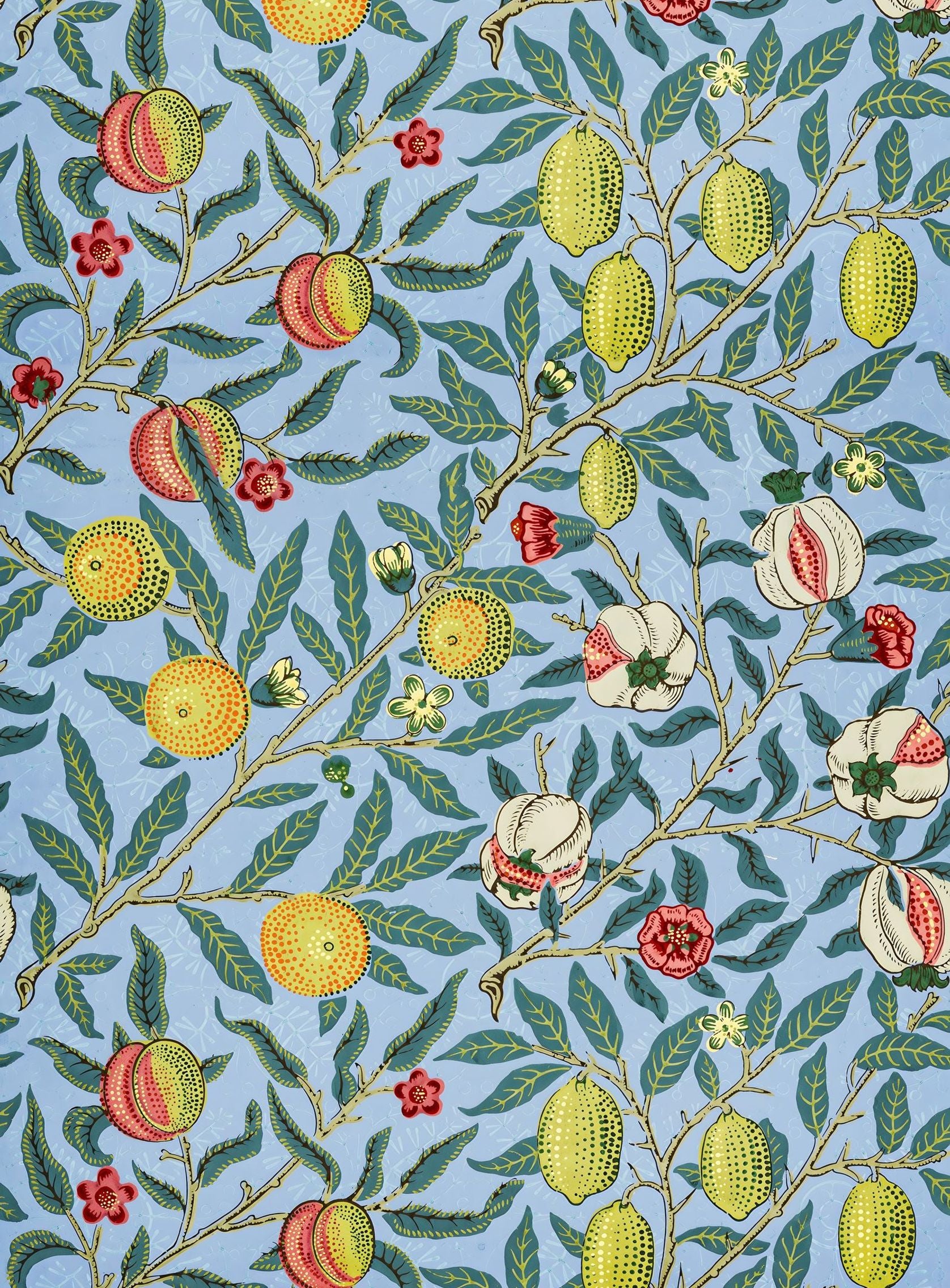 Fruits on the Vine
