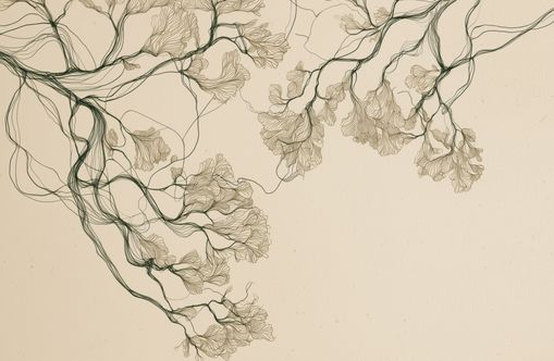 Trees Reduced to Line
