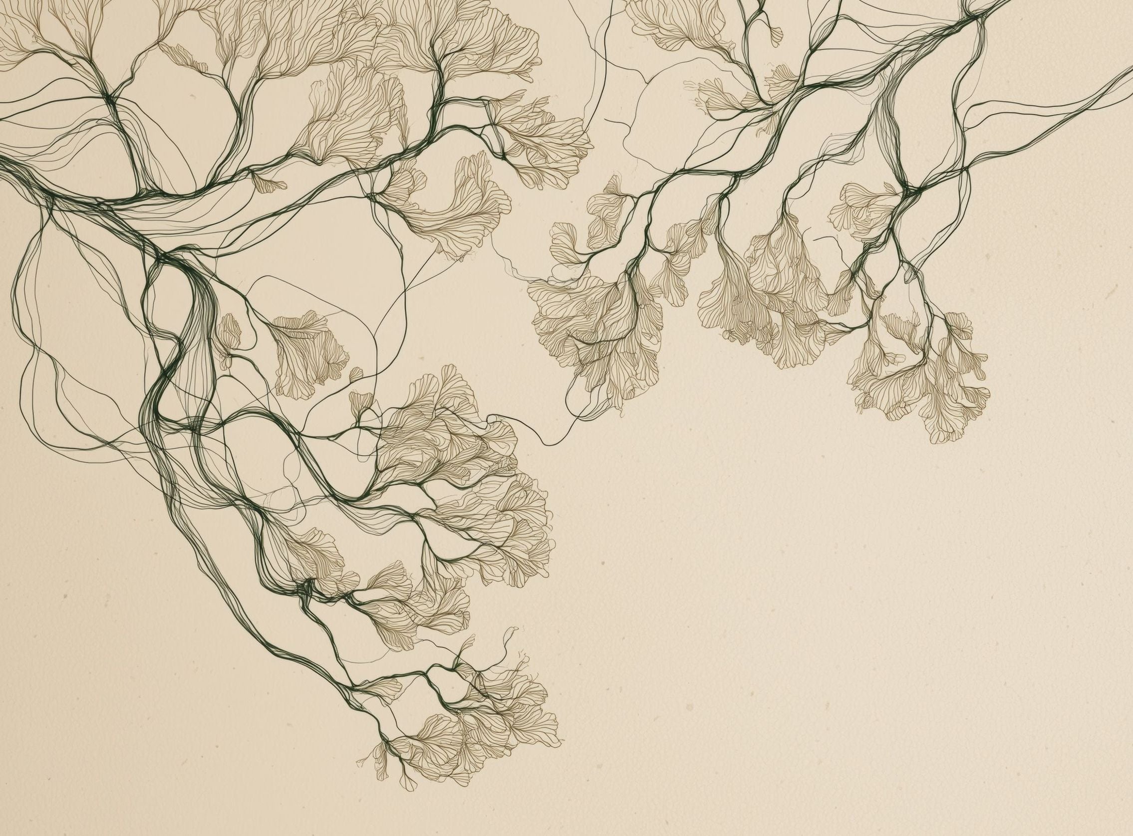 Trees Reduced to Line