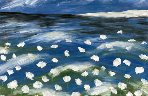 White flowers in blue wind