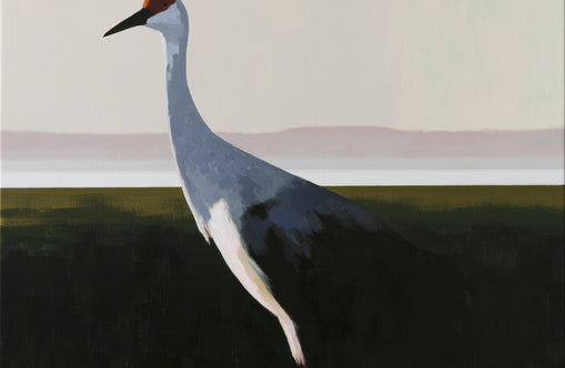 Crane with a red crown