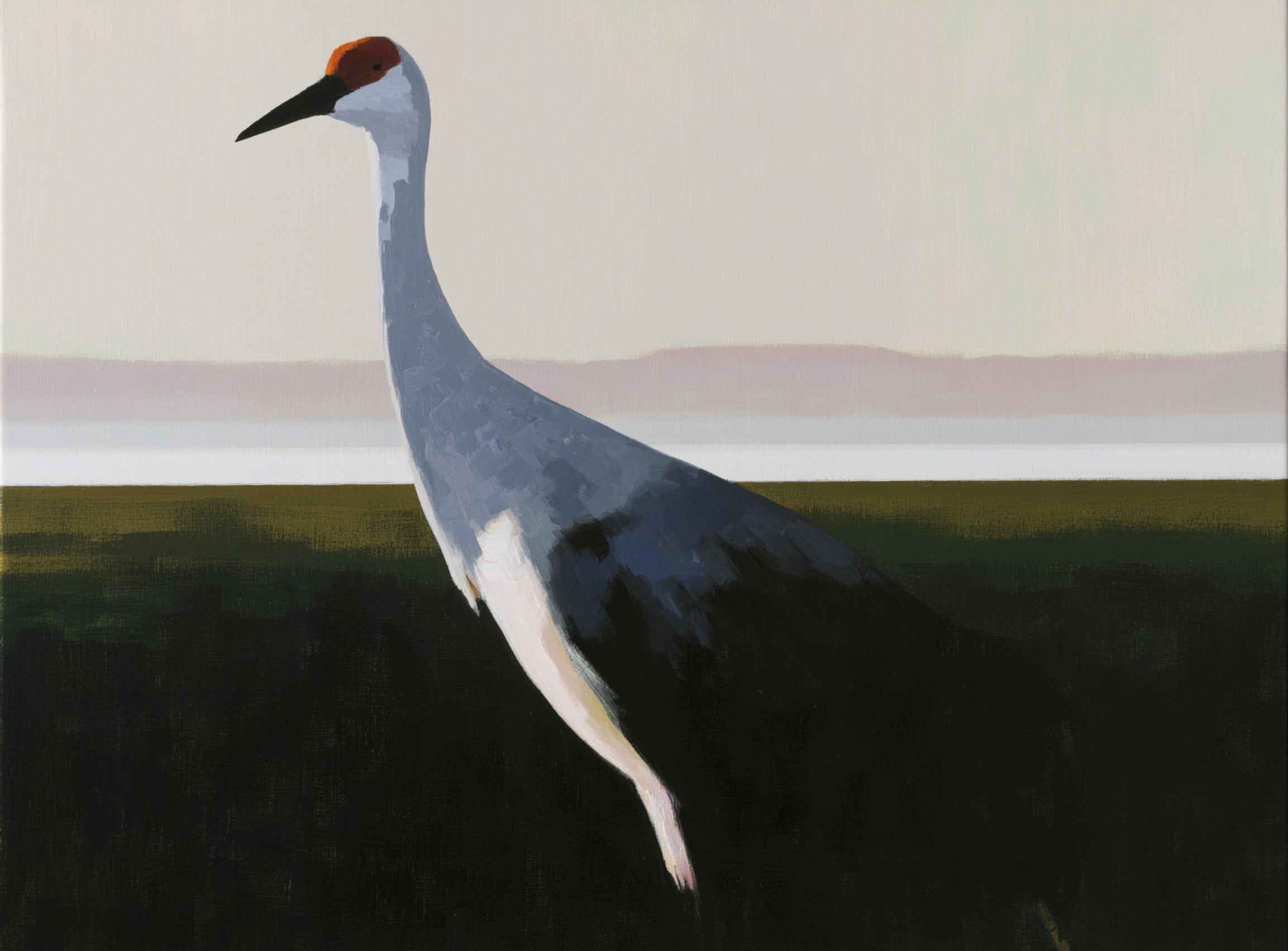 Crane with a red crown