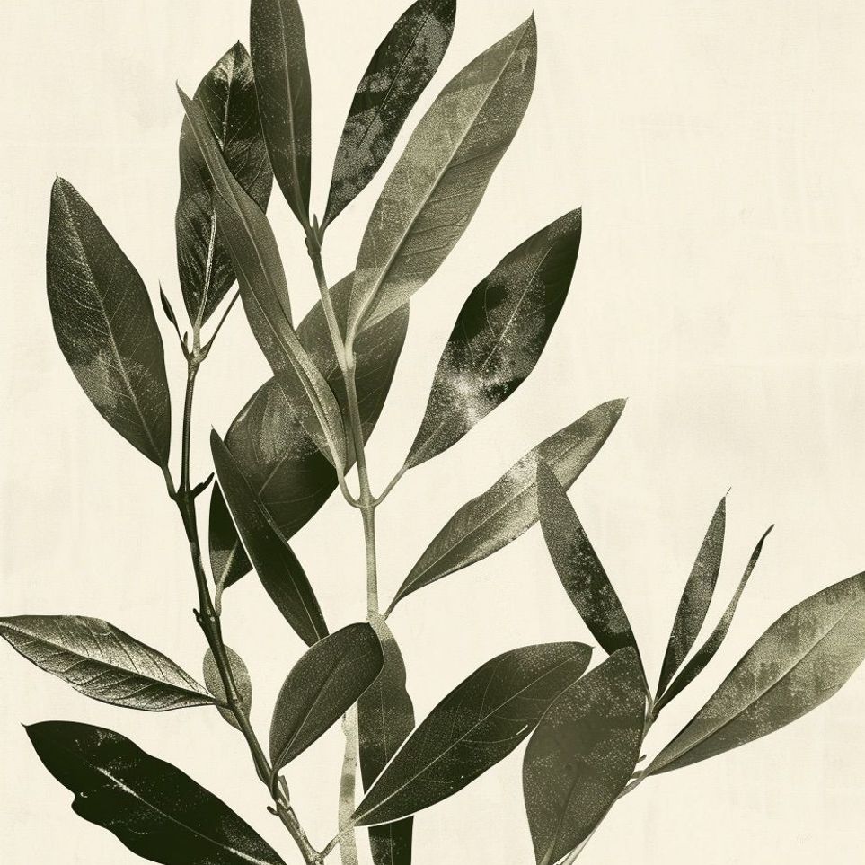 Dark leaves on pale field