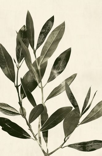 Dark leaves on pale field