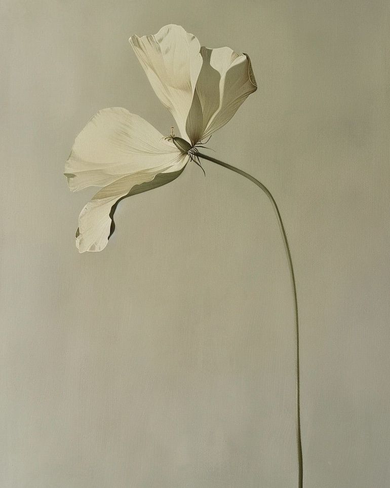 Cream petals in gray green air