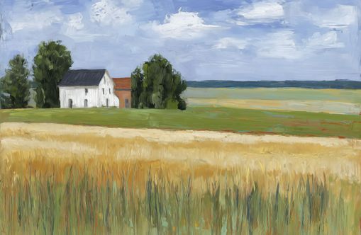 Grain Field Under Sun