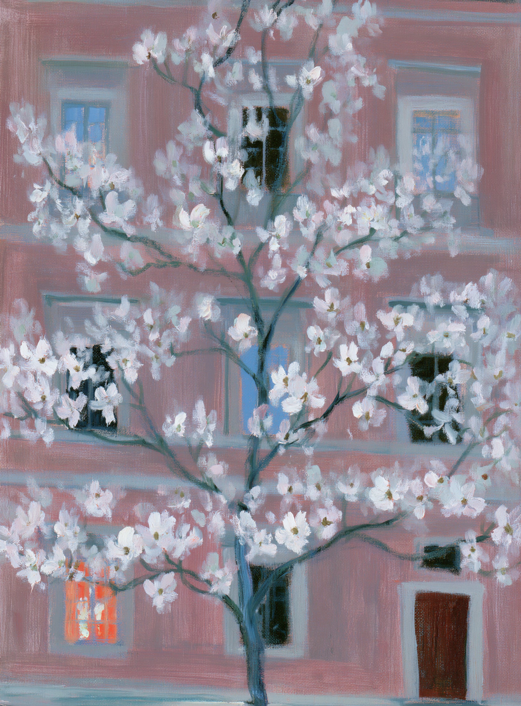 White blossoms against the pink house