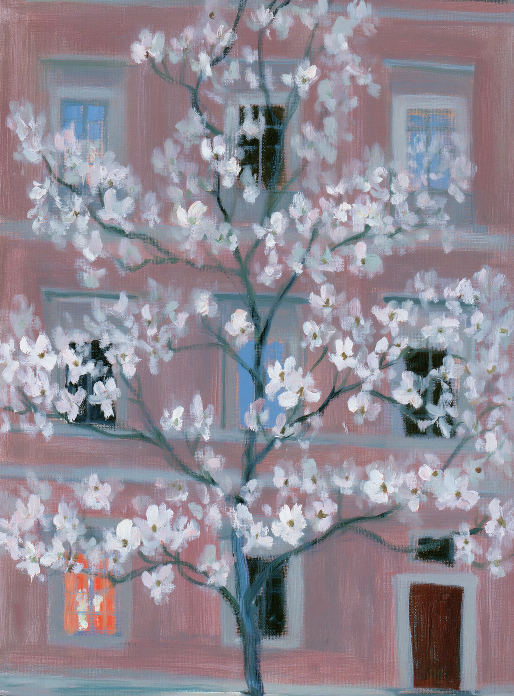 White blossoms against the pink house