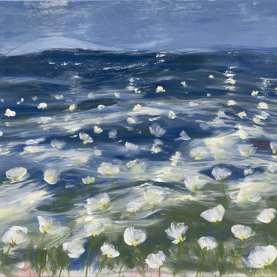 White flowers under blue sky