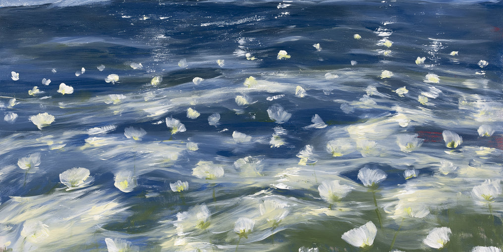 White flowers under blue sky