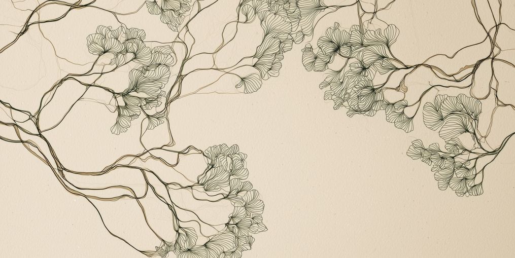 Trees Drawn in Continuous Lines